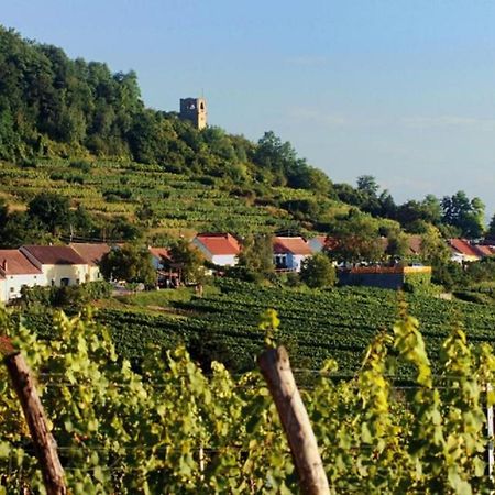 Apartament Prabatsch-Aichinger Winzergut Langenlois Zewnętrze zdjęcie