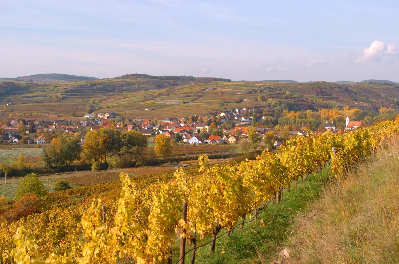 Apartament Prabatsch-Aichinger Winzergut Langenlois Zewnętrze zdjęcie