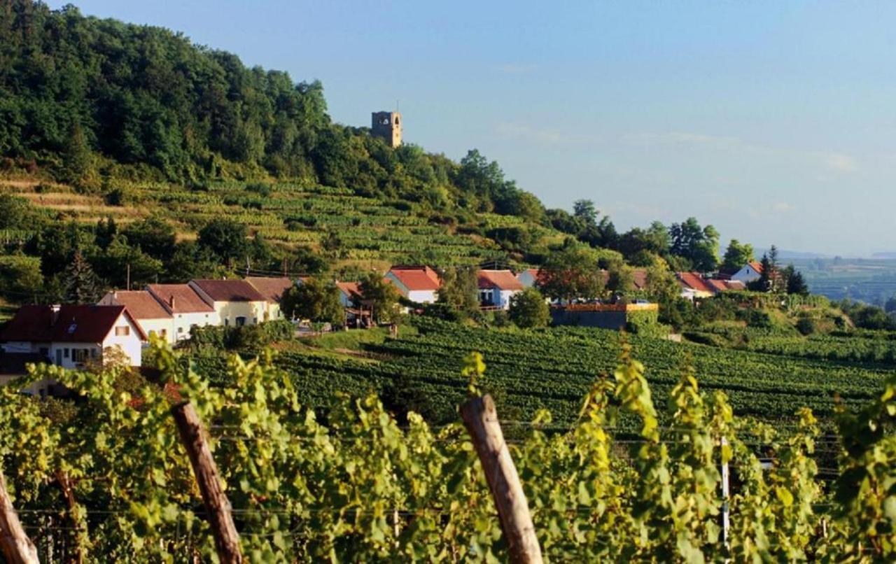 Apartament Prabatsch-Aichinger Winzergut Langenlois Zewnętrze zdjęcie